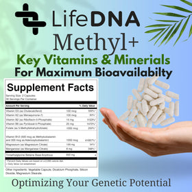 LIFEDNA Methyl + Methylfolate sur fond neutre