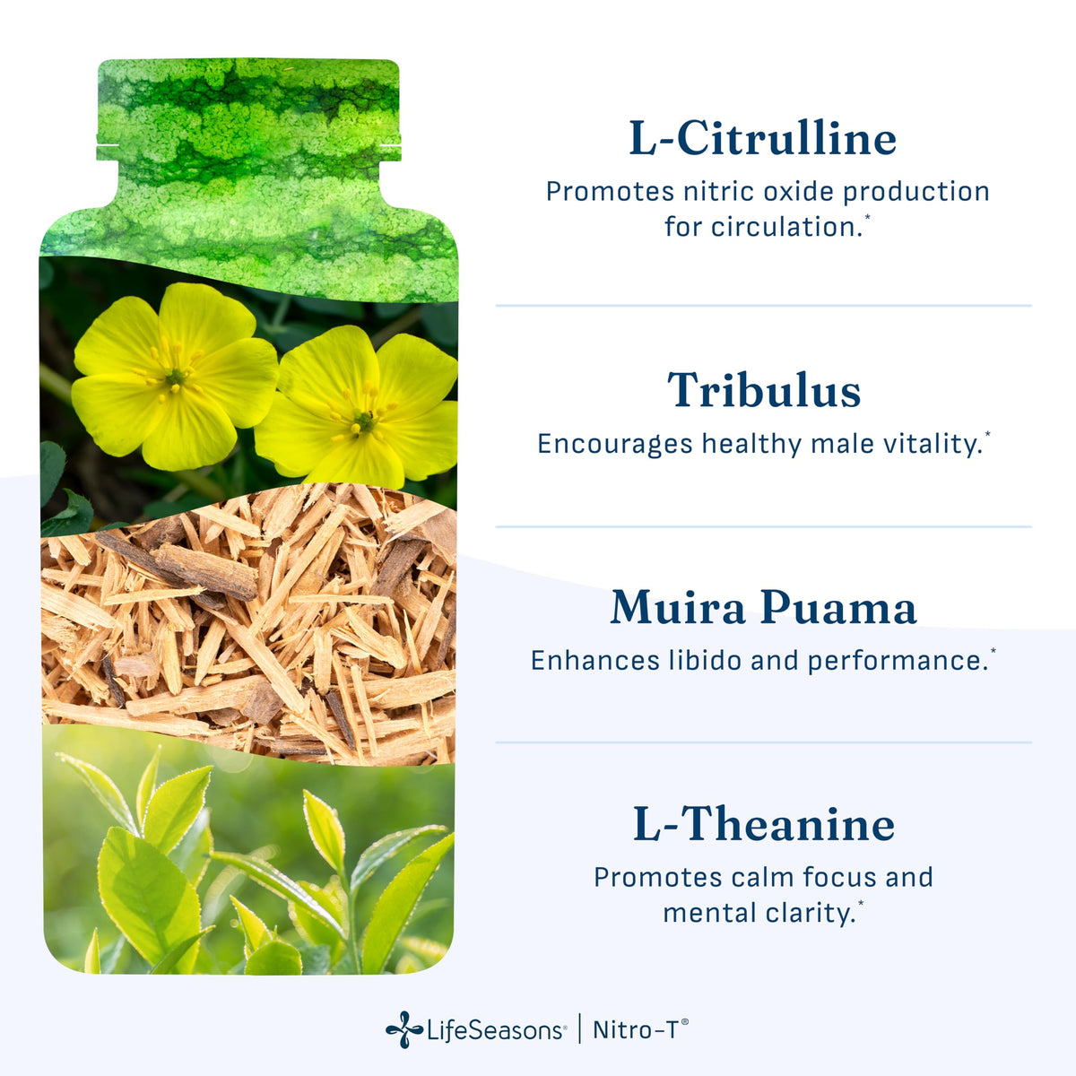LifeSeasons Nitro-T 90 capsules sur une table en bois
