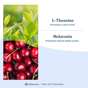 LifeSeasons Rest-ZZZ Complément Alimentaire Sommeil vue de dos