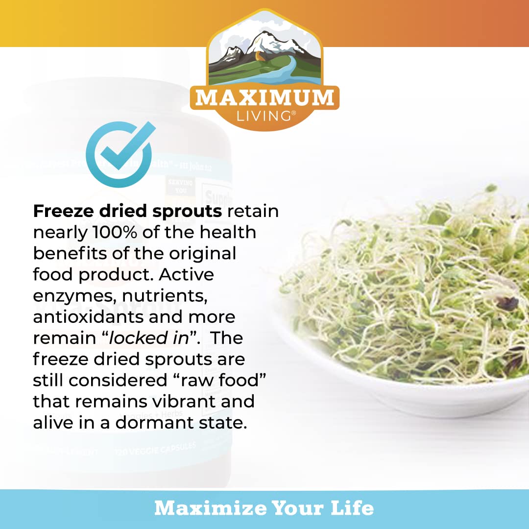 Lifestyle scene with Maximum Living Vita-Sprout Multivitamine on a kitchen counter