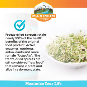 Lifestyle scene with Maximum Living Vita-Sprout Multivitamine on a kitchen counter