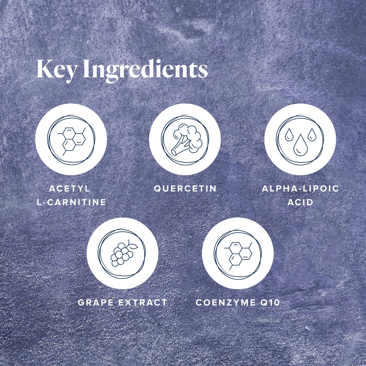 LifeVantage Protandim NRF1 Synergizer capsules sur fond blanc