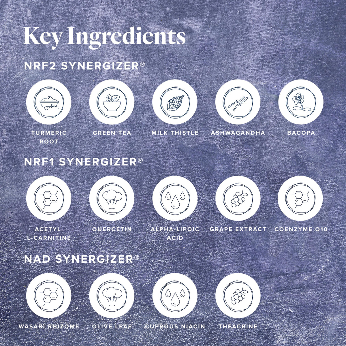 LifeVantage Protandim Tri-Synergizer 30 capsules NAD