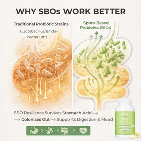 Lifted Naturals Probiotique à base de spores 60 g - étiquette