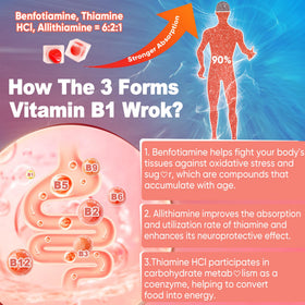 LILICARE Gummies Vitamine B1 Complexe Methylé 60 Ct - ingrédients principaux