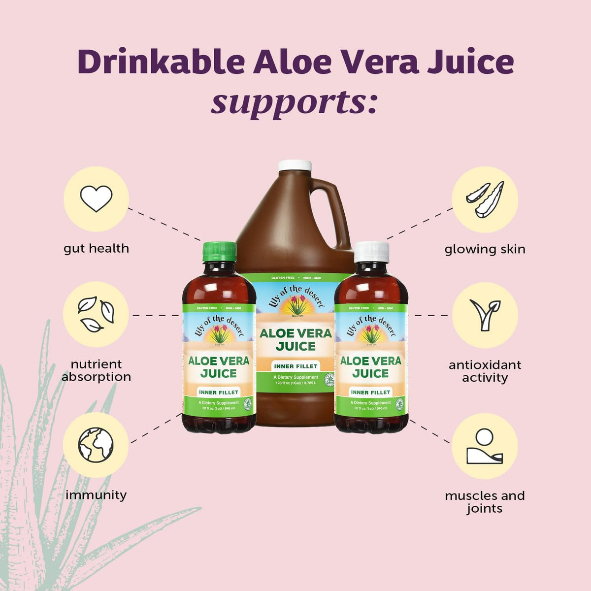 Lily Of The Desert Jus d'Aloe Vera Bio 128 Fl Oz avec verre