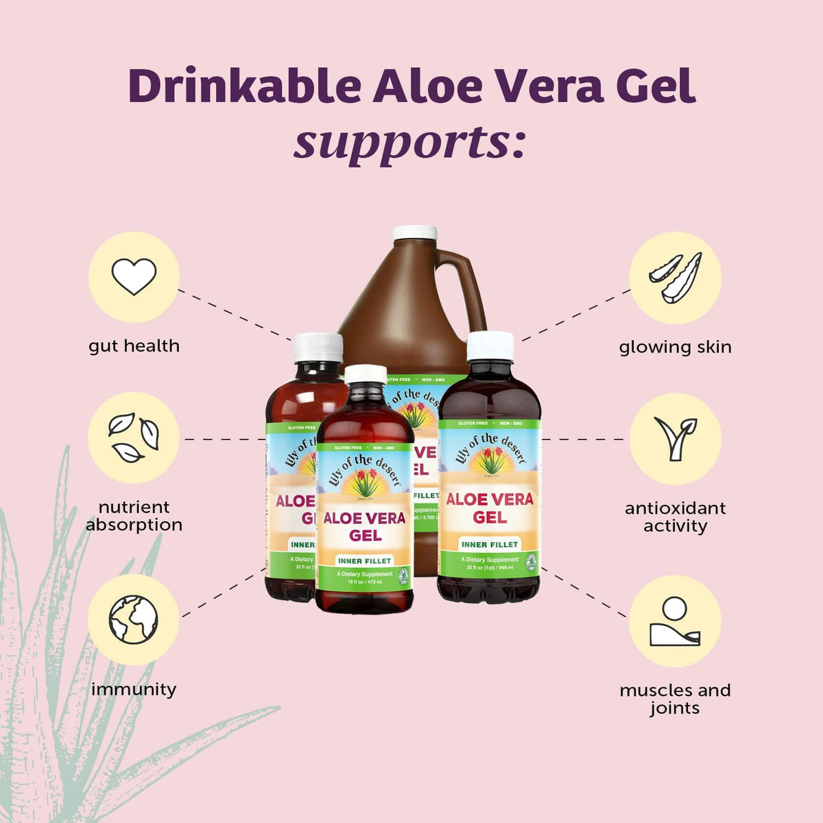 Lily Of The Desert Jus d'Aloe Vera Bio 2-pack sur fond blanc