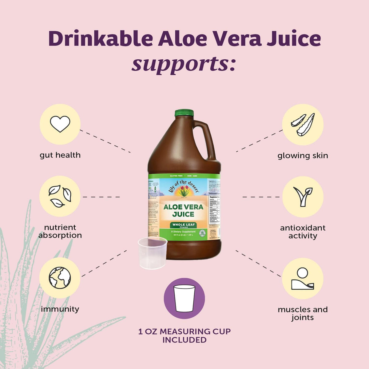 Lily Of The Desert Jus d'Aloe Vera Entier 64 Fl Oz avec étiquette
