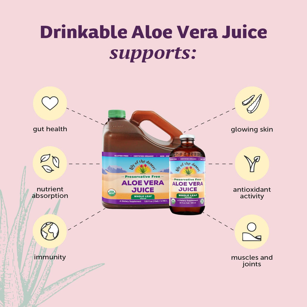 Lily Of The Desert jus d'Aloe Vera entier bio 32 oz avec des feuilles d'Aloe Vera