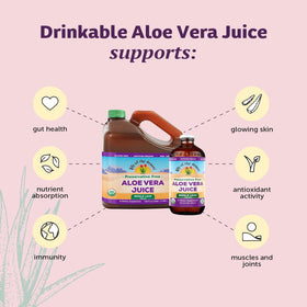 Lily Of The Desert jus d'Aloe Vera entier bio 32 oz avec des feuilles d'Aloe Vera