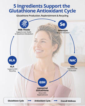 LincNutri Glutathion Liposomal capsules in a hand