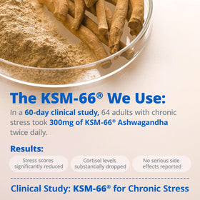 LincNutri KSM-66 Ashwagandha avec ginseng et champignons