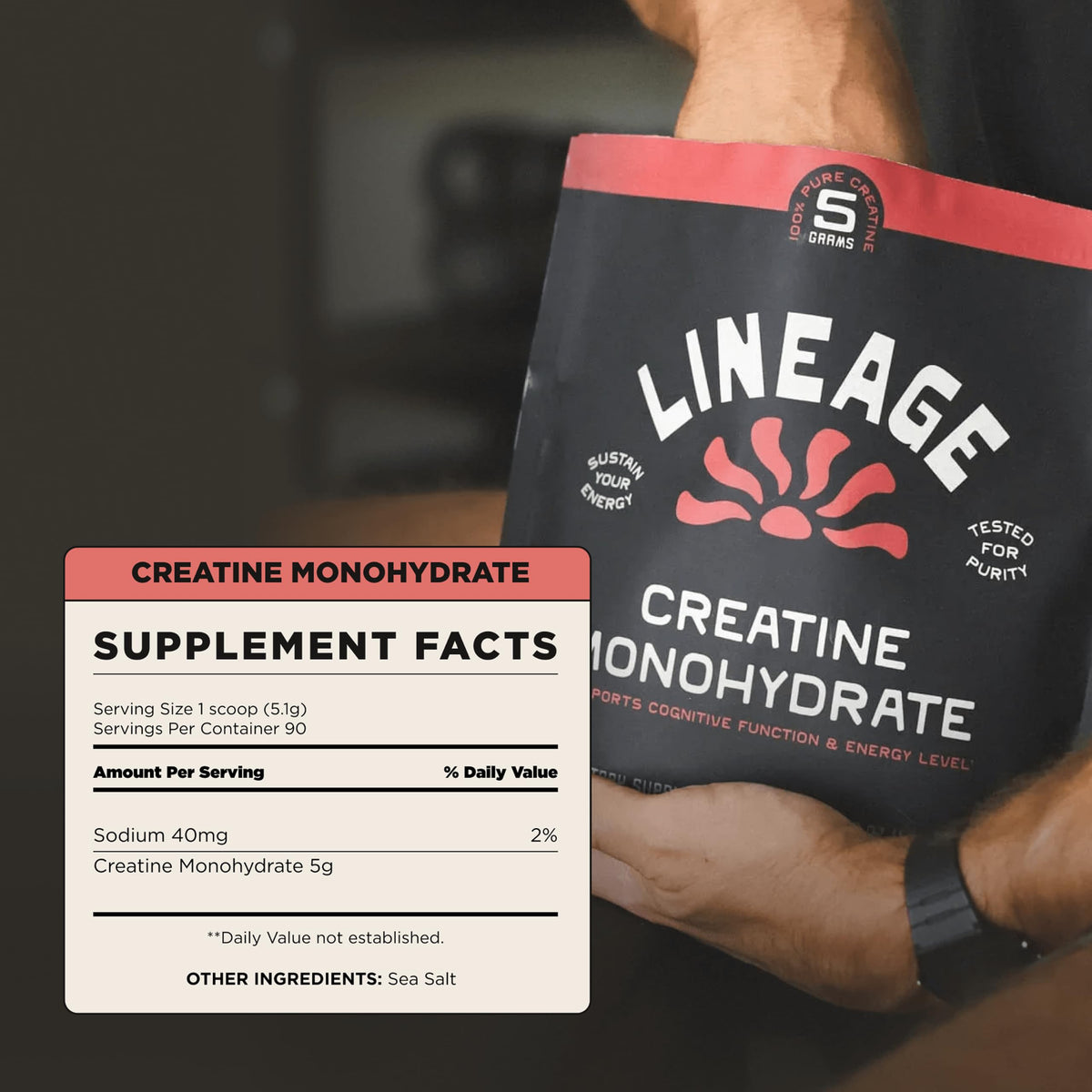 Lineage Provisions créatine monohydrate 490g avec sel marin emballage