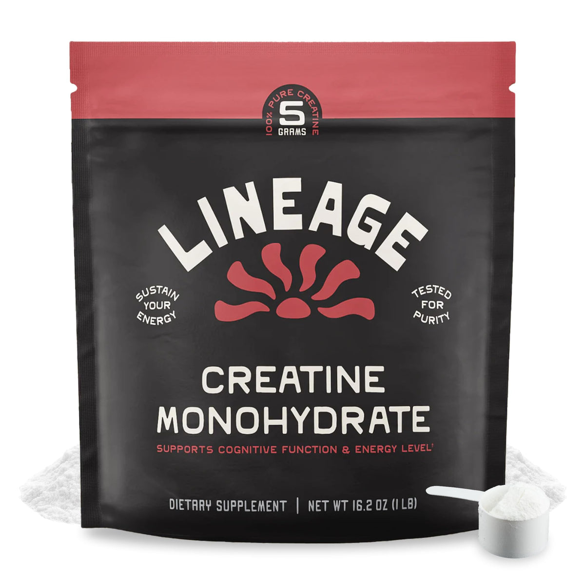 Lineage Provisions créatine monohydrate 490g avec sel marin vue avant