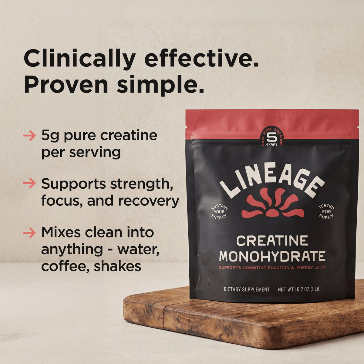Lineage Provisions créatine monohydrate 490g et accessoires de fitness