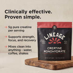 Lineage Provisions créatine monohydrate 490g et accessoires de fitness