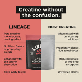 Lineage Provisions créatine monohydrate 490g vue supérieure