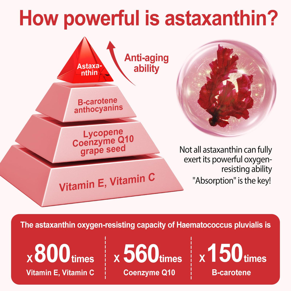Linizanjiiy Astaxanthin 12mg gélules douces ouvertes
