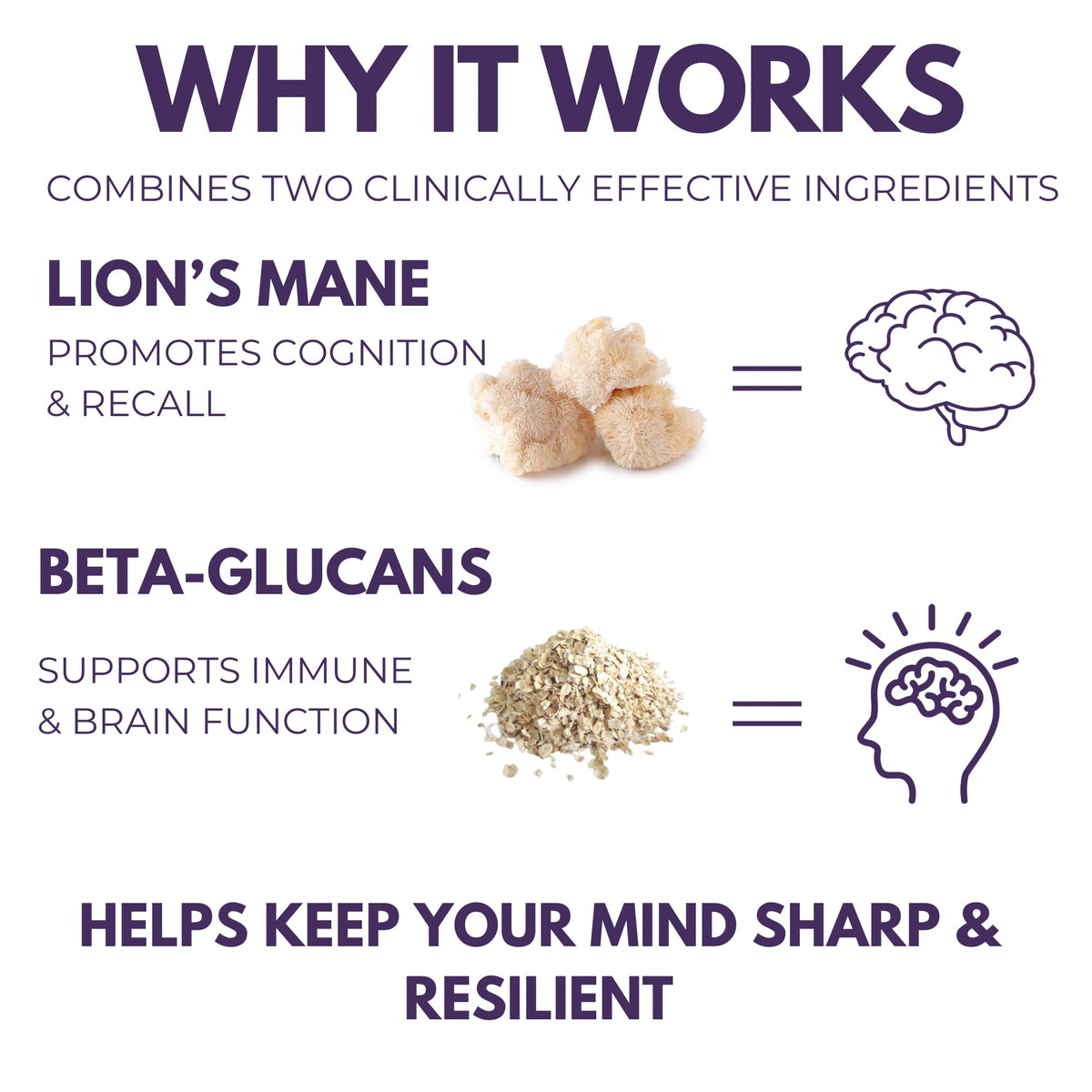 Lion’s Mane 1000 mg - gélules sur un fond naturel