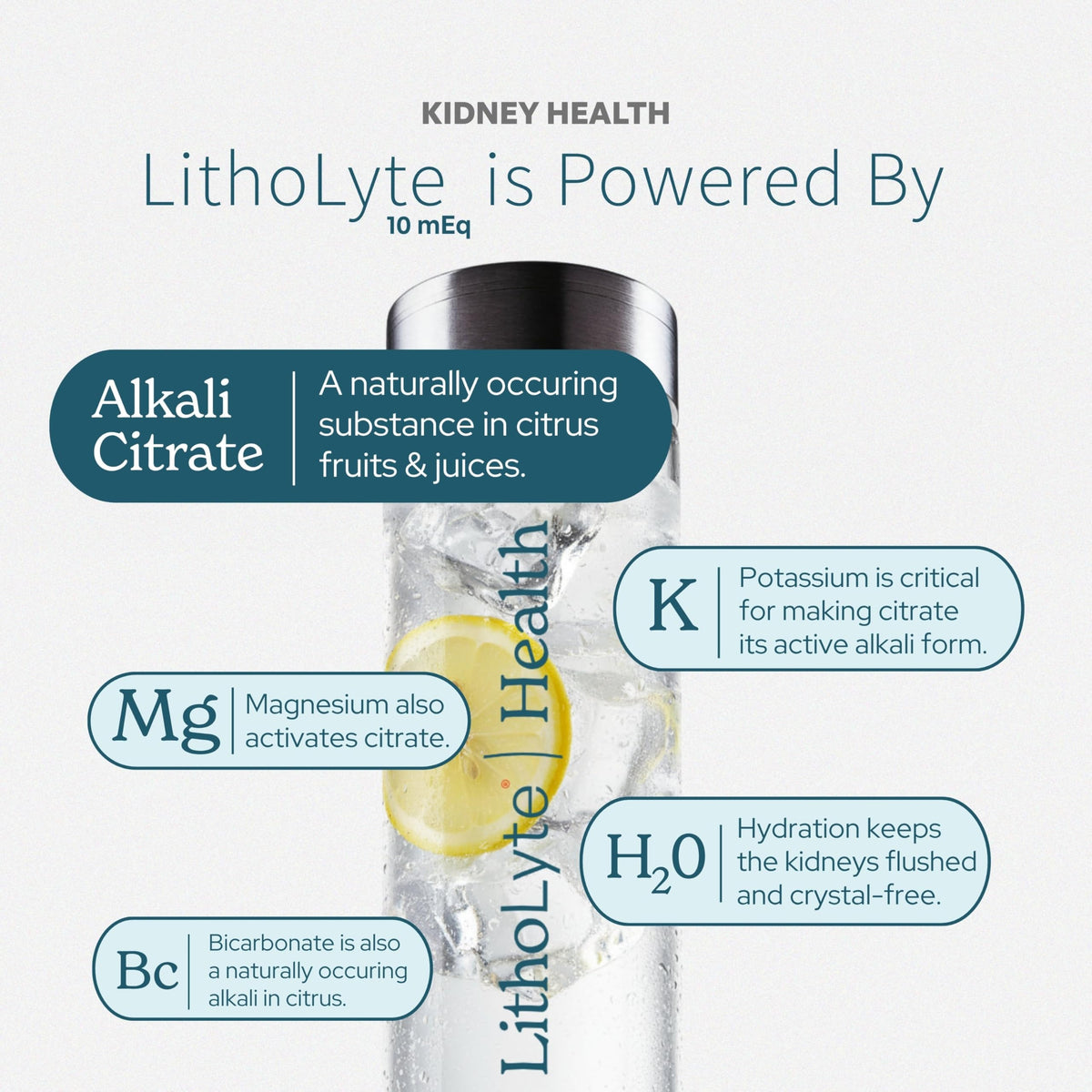 LithoLyte dans un environnement de travail actif