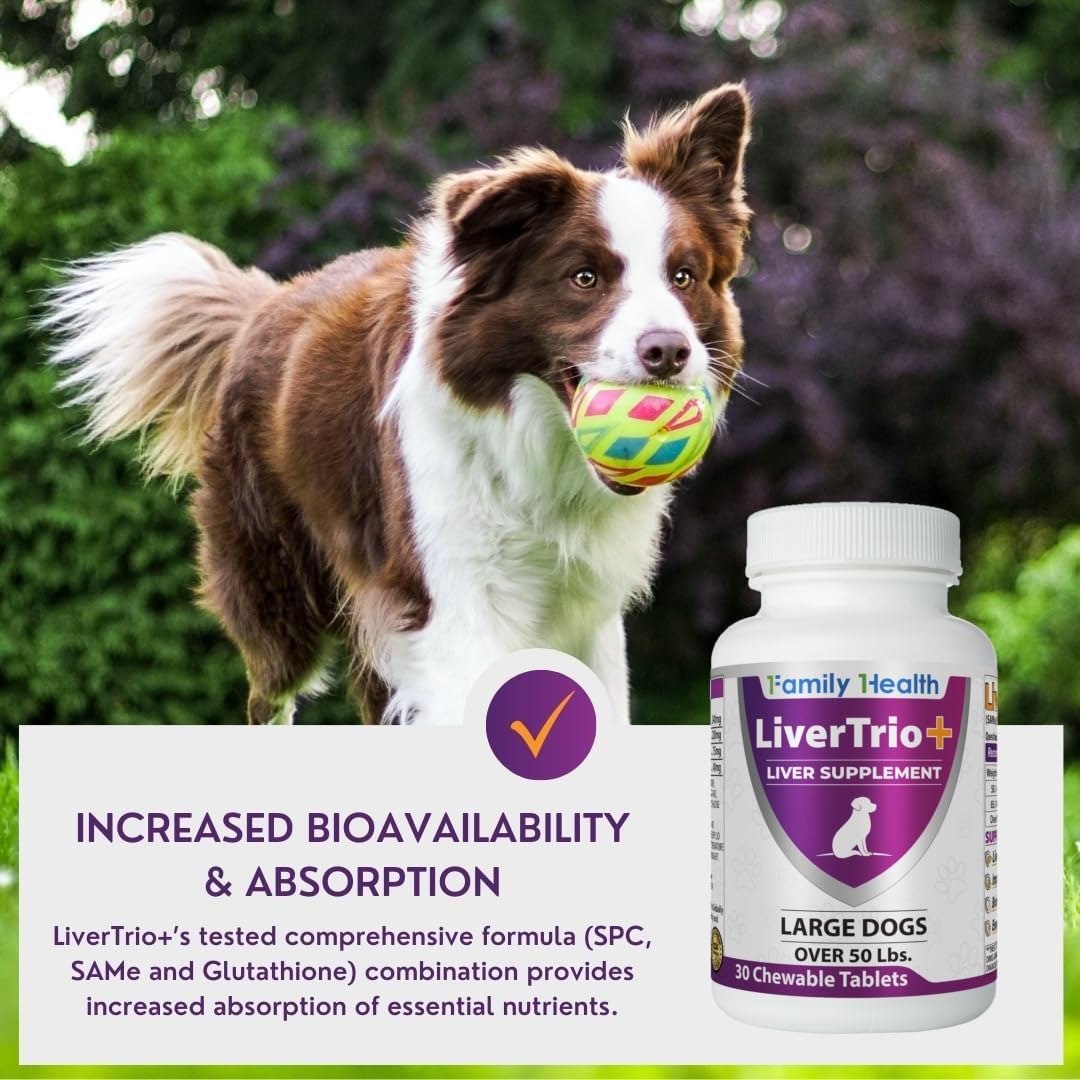 LiverTrio+ - Soutien pour la santé hépatique des chiens