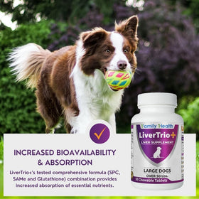LiverTrio+ - Soutien pour la santé hépatique des chiens