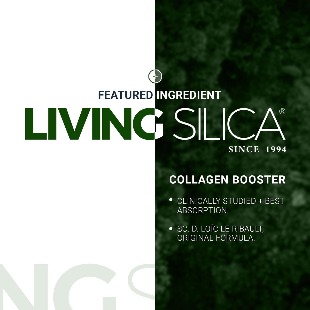 Living Silica Complément Alimentaire Collagène 500 ml avec des ingrédients naturels