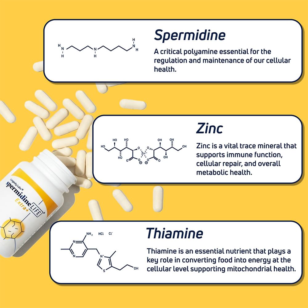 LONGEVITY LABS + capsules de spermidineLIFE ouvertes
