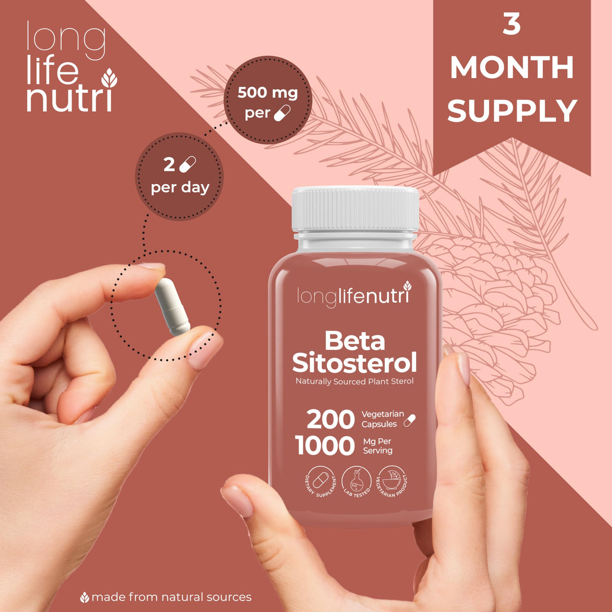 LongLifeNutri Beta Sitosterol 1000mg, gélules dans un organisateur de pilules