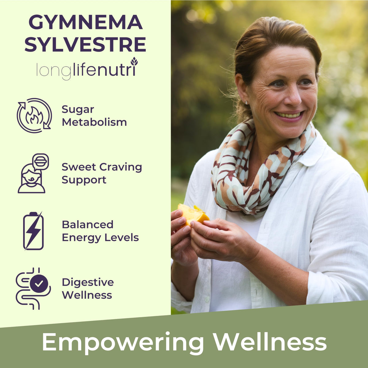 LongLifeNutri Gymnema Sylvestre 1000mg capsule végétale en gros plan