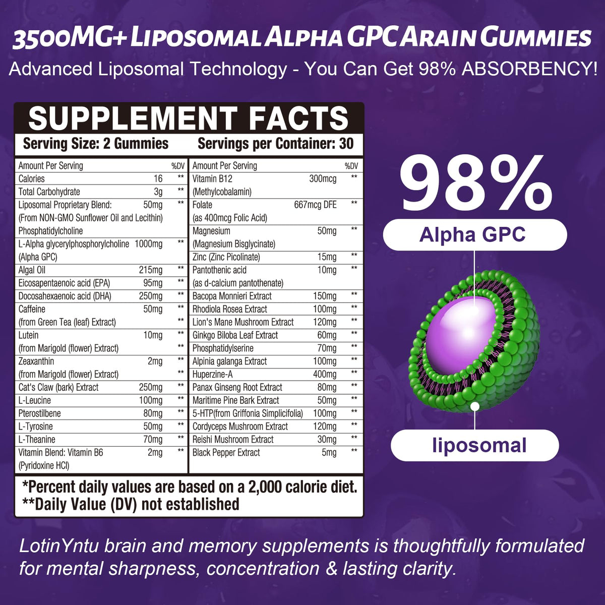 LotinYntu Gummies Alpha 3500MG ingrédients principaux