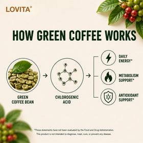 LOVITA Extrait de Grain de Café Vert affichage des capsules