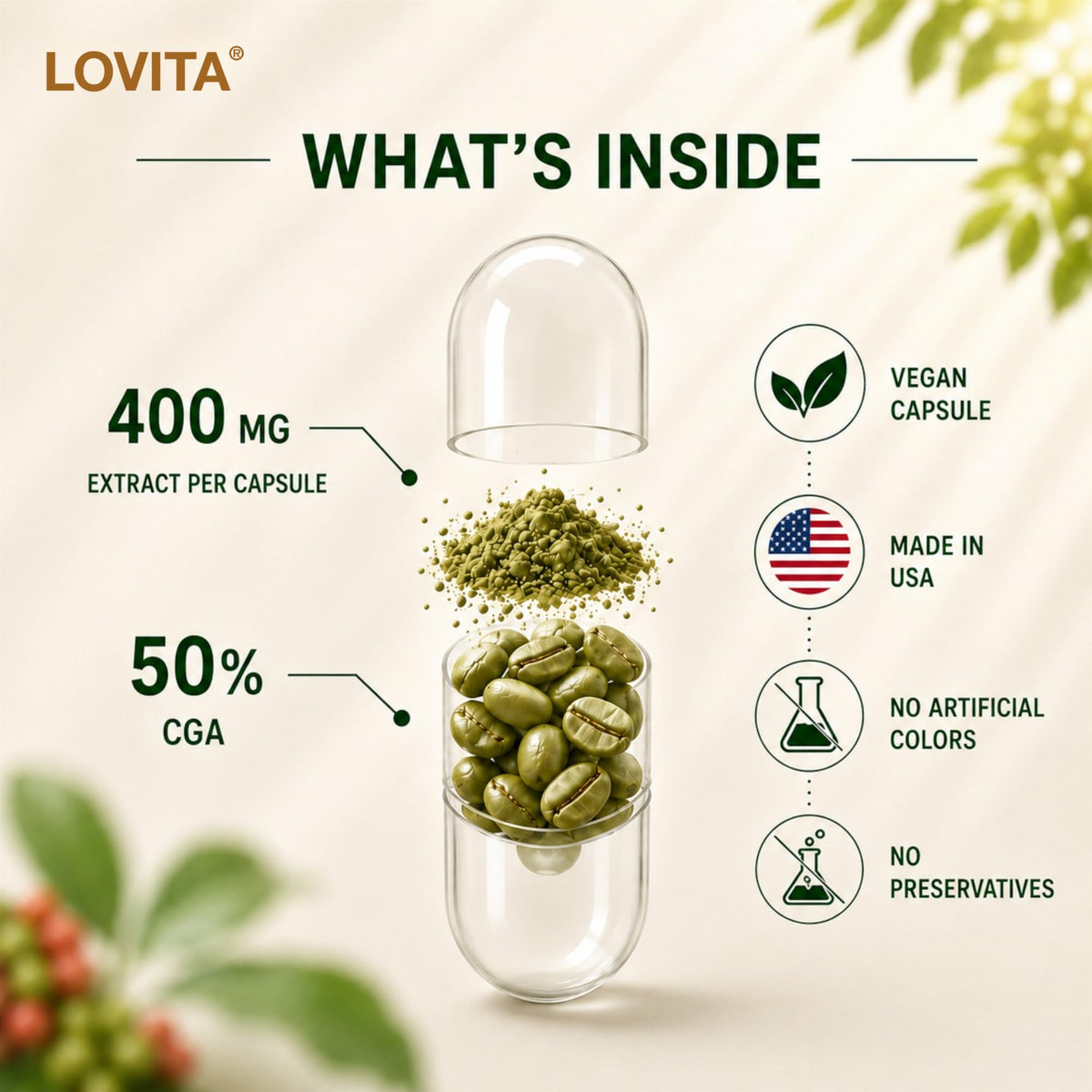 LOVITA Extrait de Grain de Café Vert capsules ouvertes