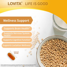 LOVITA Lecithine 1000 mg capsules dans une main