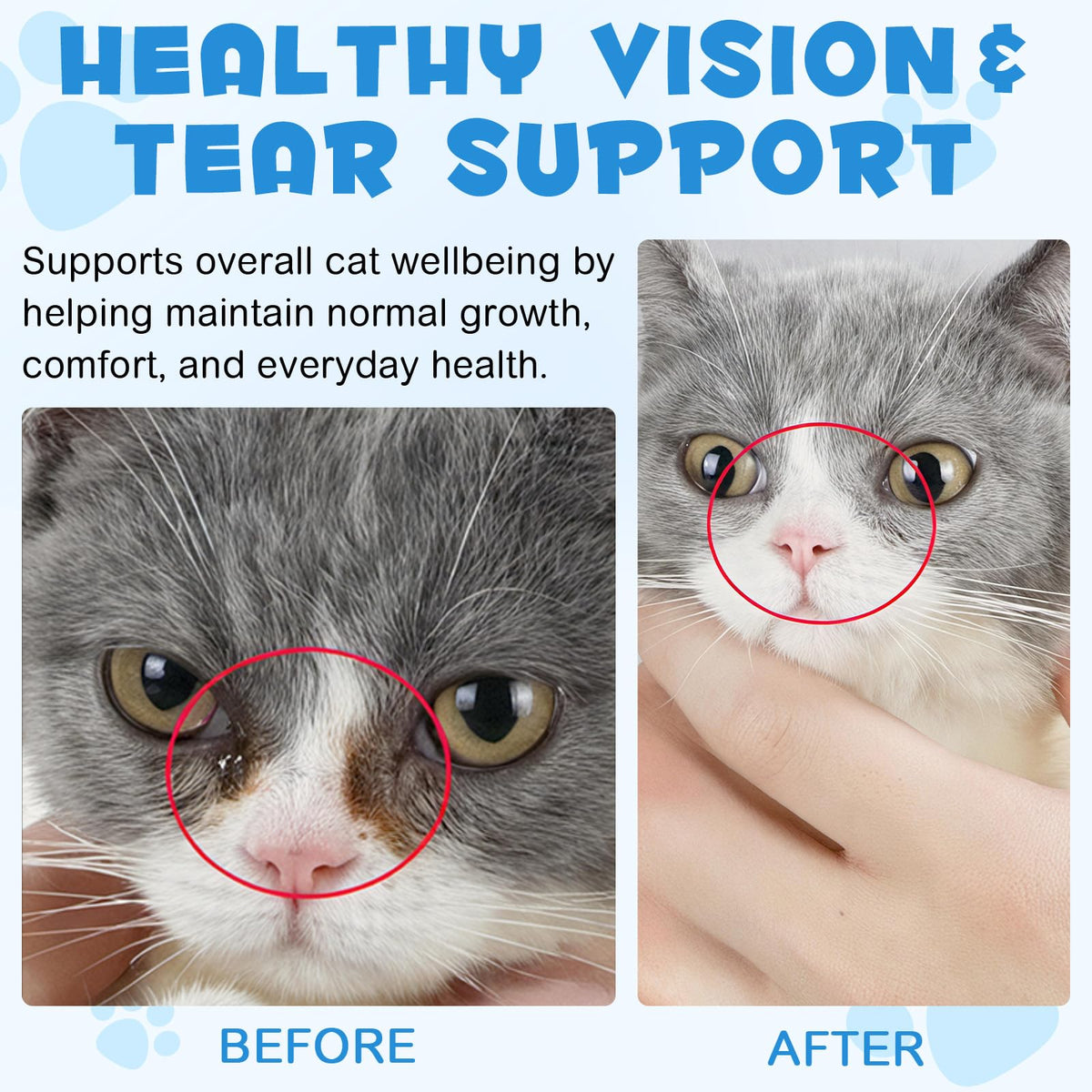 LTQXGT Complément Alimentaire L-Lysine pour Chats 60ml en gros plan