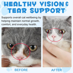 LTQXGT Complément Alimentaire L-Lysine pour Chats 60ml en gros plan