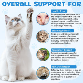 LTQXGT Complément Alimentaire L-Lysine pour Chats 60ml sur une table