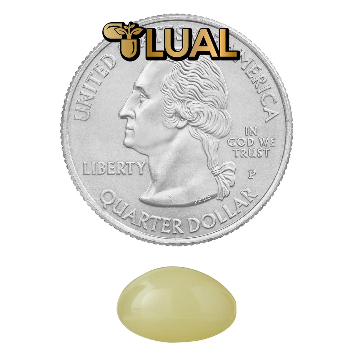 LUAL Biotine 10 000 mcg comprimés dans une main