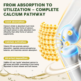 LUCNVEM Calcium Citrate Liquide 1200 mg bouteille avec arôme d'ananas