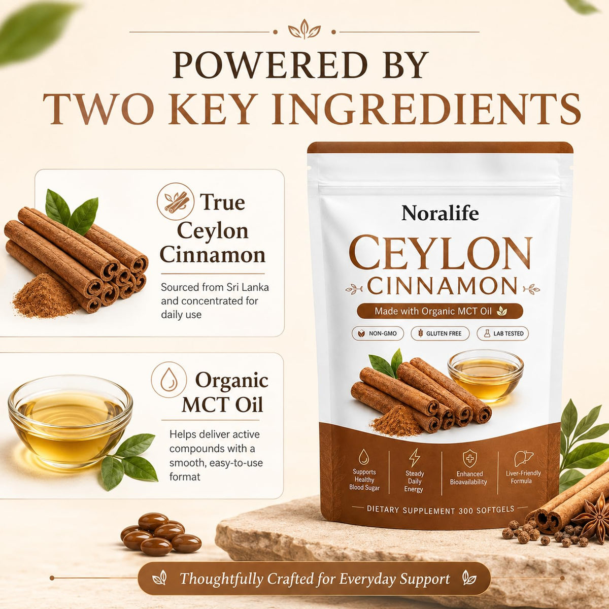 Lumvelle Organics Gélules de Cannelle de Ceylan 300 Softgels, vue arrière du packaging