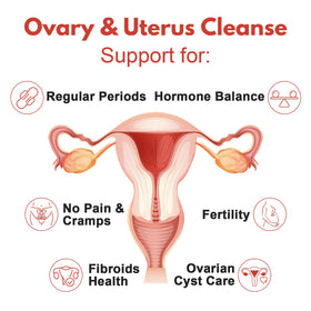 Lunza Nettoyage des Ovaires et de l'Uterus flacon avec capsules à l'intérieur