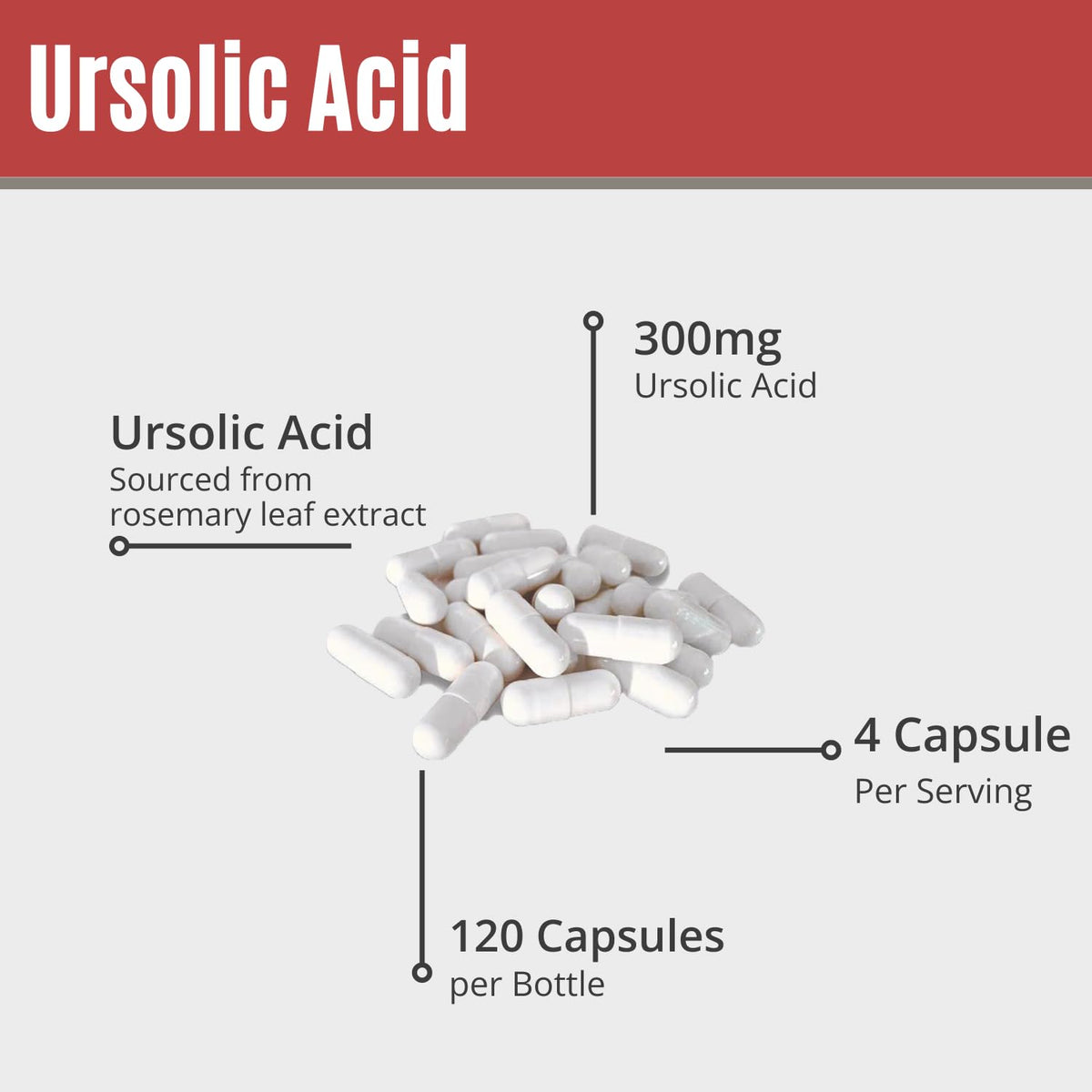 MAAC10 Acide Ursolique 300mg avec extrait de romarin