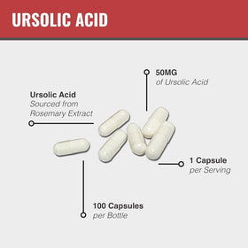 MAAC10 Acide Ursolique 50mg avec extrait de romarin