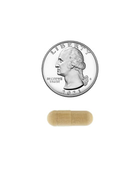 Maca racine bio 500mg capsules dans un environnement naturel