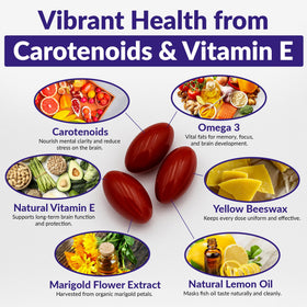 Macuhealth Omega 3 informations nutritionnelles au dos de la boîte