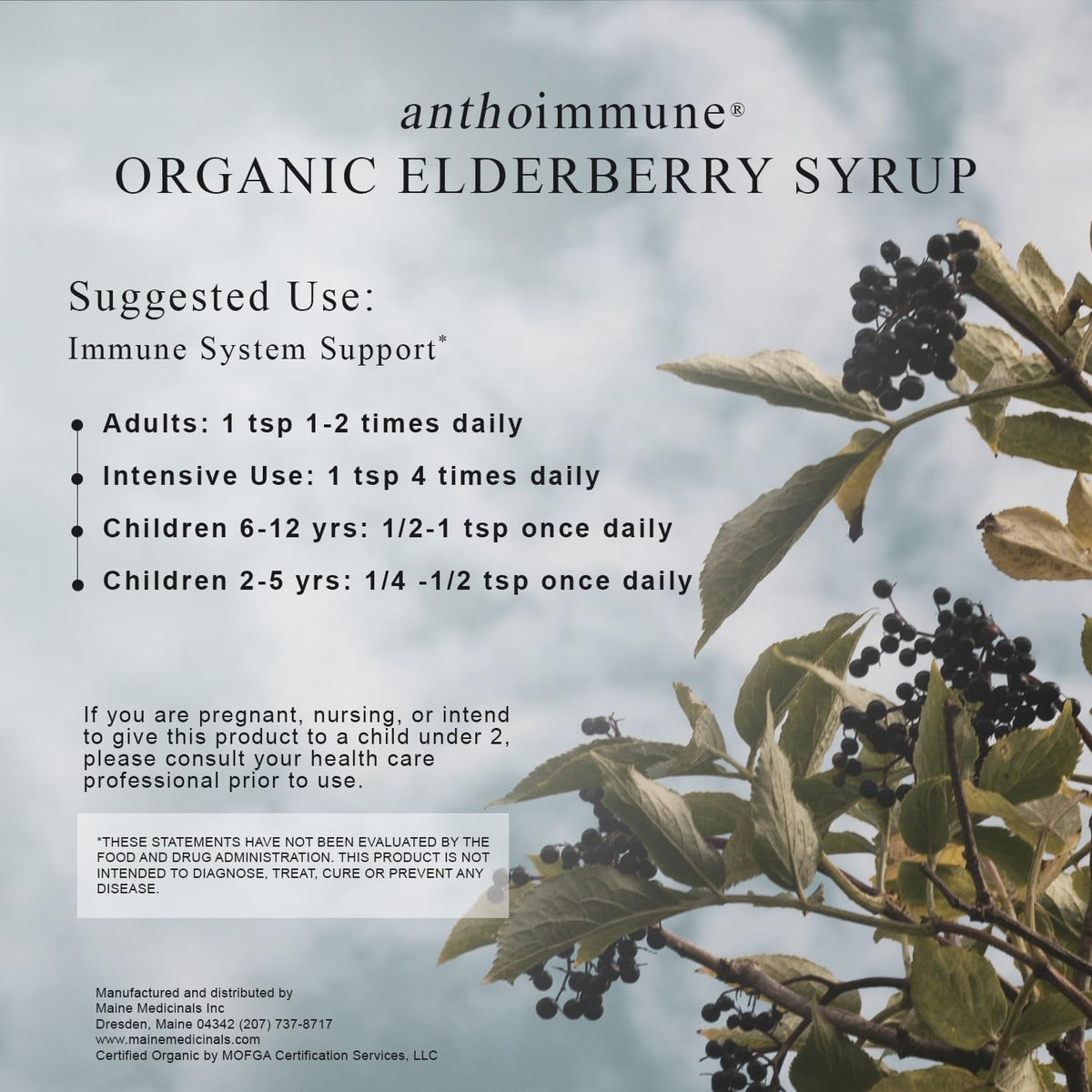 Maine Medicinals Sirop de Sureau Bio 4 oz sur une table en bois