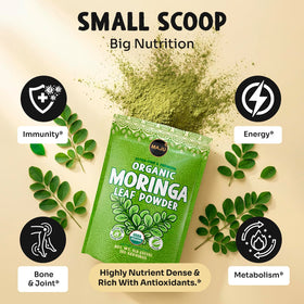 Maju Poudre de Moringa Bio 472g vue arrière avec informations nutritionnelles