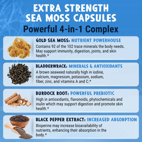 Maju Superfoods capsules d'algues marines 4-en-1, vue arrière montrant les ingrédients