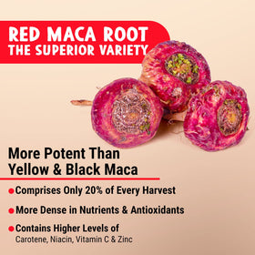 Maju Superfoods Gélules de Racine de Maca Rouge Bio sur fond blanc