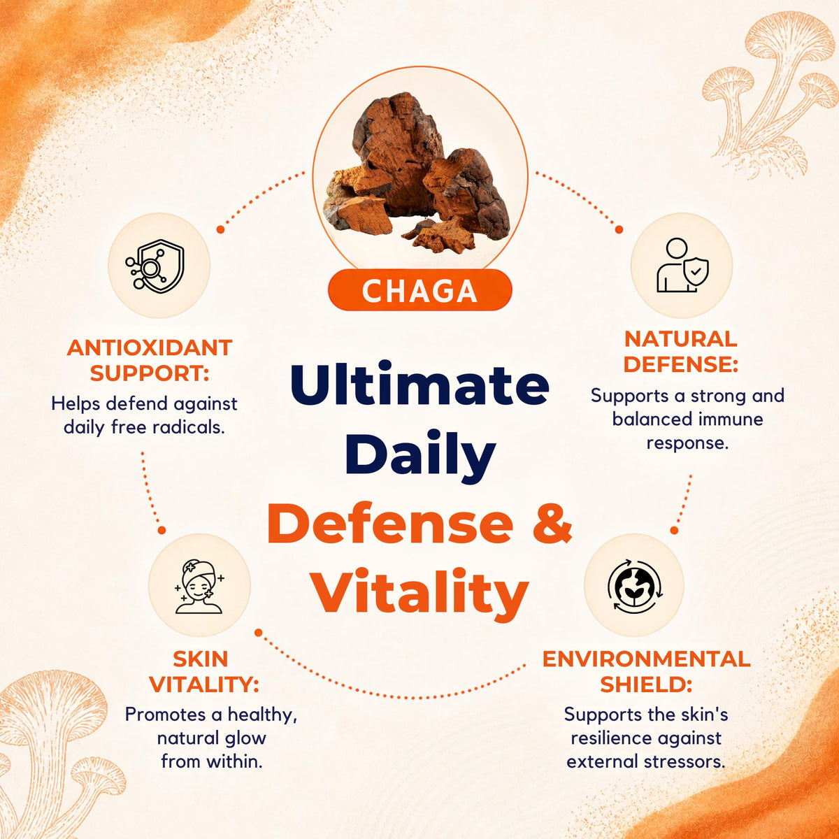 MALAMA MUSHROOMS Poudre Chaga 110g vue arrière